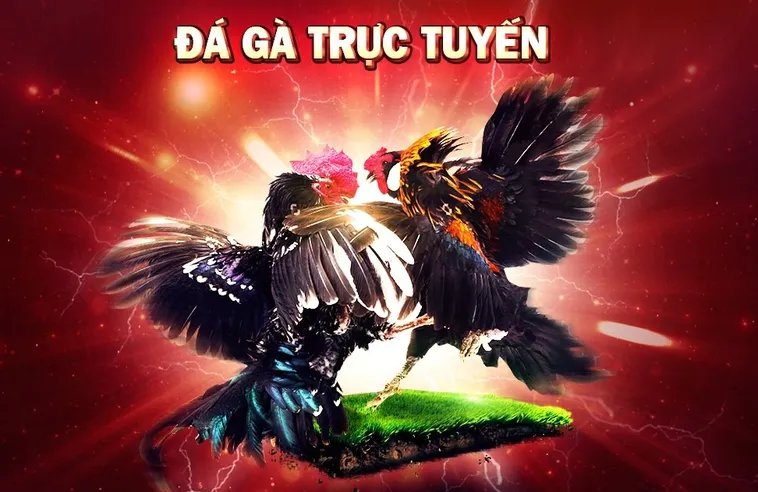 Đá Gà IWin Club – Sân Chơi Cá Cược Thú Vị Cho Đam Mê Thể Thao Đỏ Đen