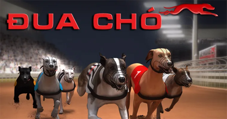 Cách Chơi Game Nhanh Đua Chó Tại IWin Club Chuẩn Xác Và Dễ Hiểu